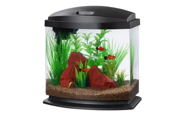 Aqueon - Aqueon Led Minibow 2.5 Smartclean Aquarium Kit Black