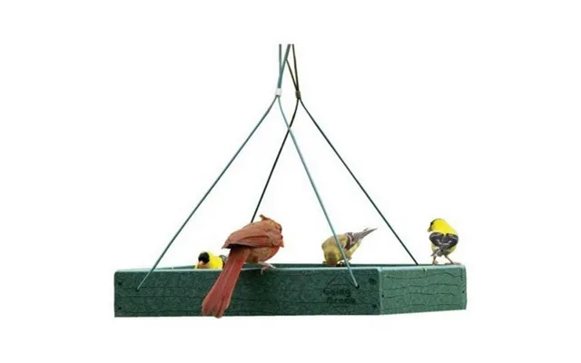 Audubon - Going Green Platform Feeder