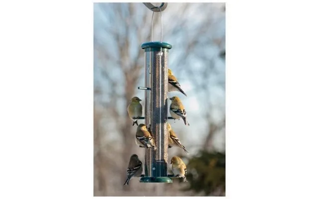 Audubon - Plastic 8-port Finch Tube Feeder