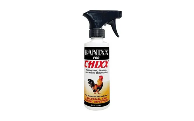 Banixx - Banixx For Chixx
