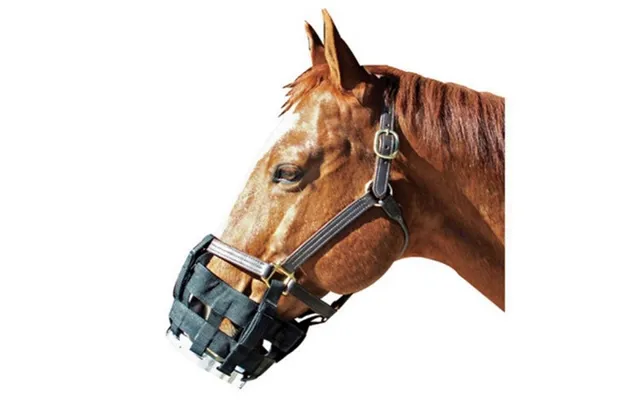 Best Friend - Best Friend Free-to-eat Cribbing Muzzle