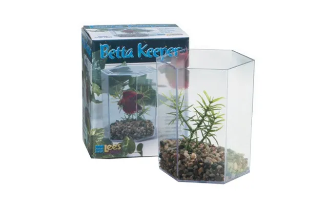 Betta Keeper Hex Aquarium Kit 24 Oz 4.8 L X 3.8 W X 5.4 H By Lee's