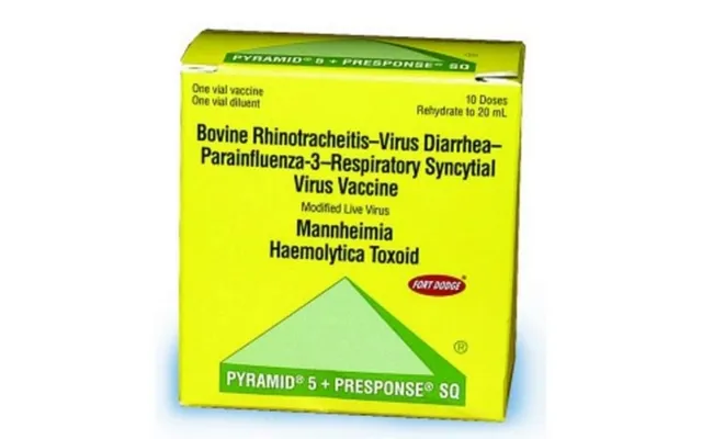 Boehringer Ingelheim - Vb Pyramid 5