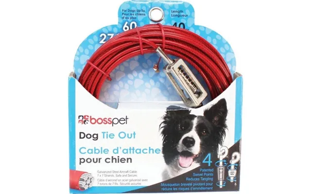Boss Pet - Boss Pet Tie-out W Spring