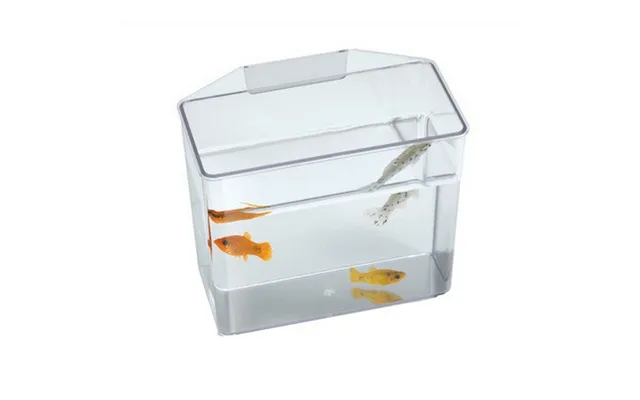 Break Resistant Specimen Container Large - 7 L X 3.25 W X 6 H By Lee's