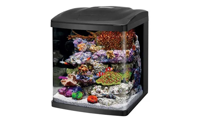 Coralife - Coralife Led Biocube Marine Or Freshwater Aquarium Kit