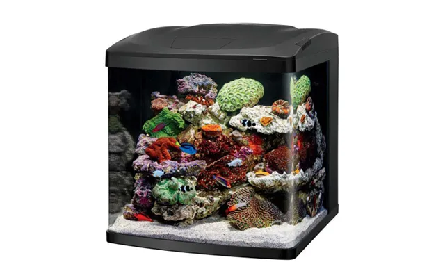 Coralife - Coralife Led Biocube Marine Or Freshwater Aquarium Kit