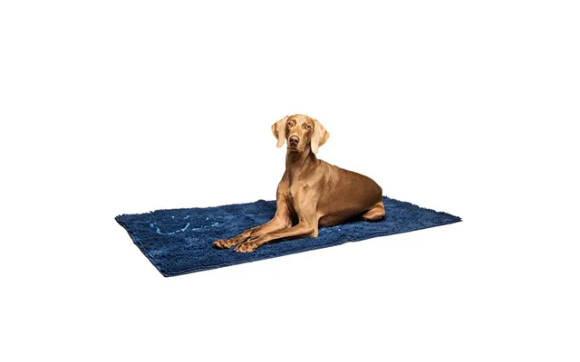 Dogs Gone Smart - Dogs Gone Smart Dirty Dog Doormat Runner