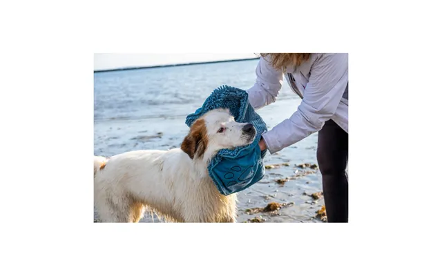 Dogs Gone Smart - Dogs Gone Smart Dirty Dog Shammy Towel
