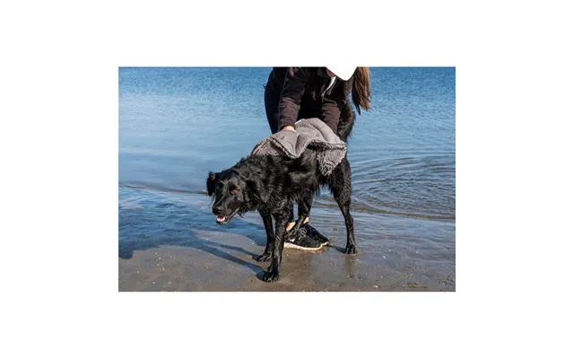 Dogs Gone Smart - Dogs Gone Smart Dirty Dog Shammy Towel