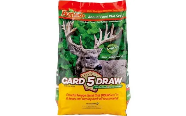 Evolved - Evolved 5 Card Draw Annual Seed Plot