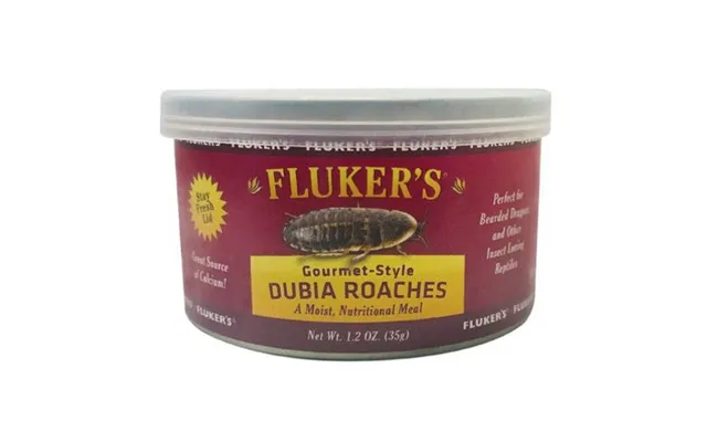 Flukers - Flukers Gourmet Style Dubia Roaches