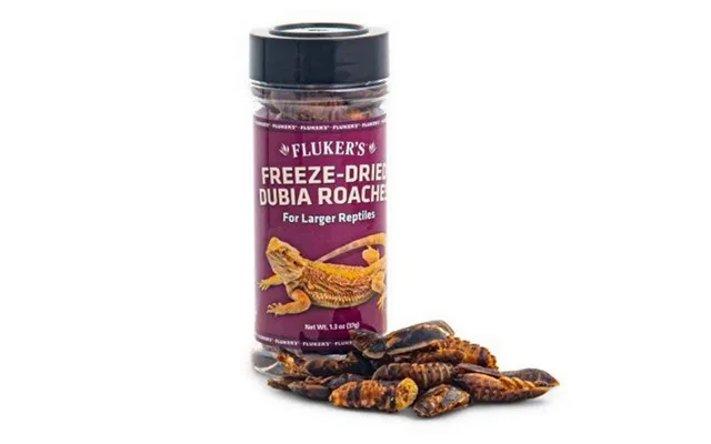 Fluker's - Freeze Dried Dubia Roaches