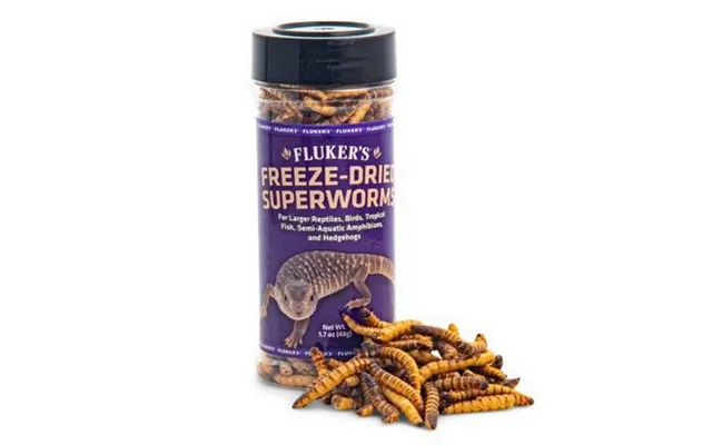 Fluker's - Freeze Dried Superworms