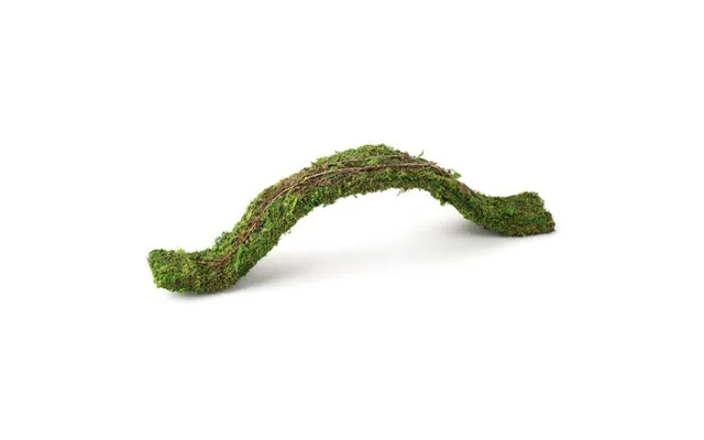 Galapagos - Galapagos Flexible Bridge Terrarium Ornament