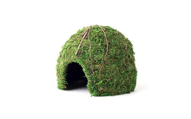Galapagos - Galapagos Mossy Dome Terrarium Hideaway