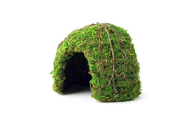 Galapagos - Galapagos Mossy Dome Terrarium Hideaway
