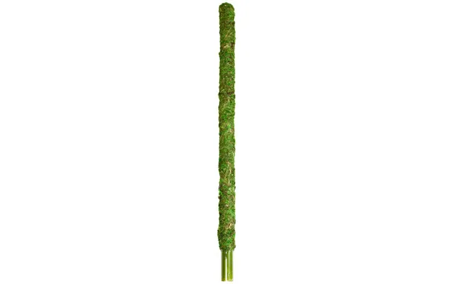 Galapagos - Galapagos Mossy Perch Terrarium Ornament
