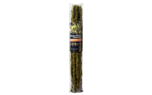 Galapagos - Galapagos Mossy Sticks Terrarium Ornament