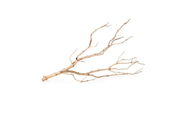 Galapagos, Galapagos Staghorn Wood Manzanita Branch, Brown, 1 Each 19 In - 24 In