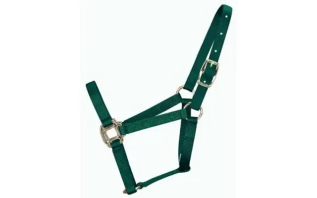 Halter Horse Qlty 11-16 Large 1 Dark Green 1 Each By Hamilton