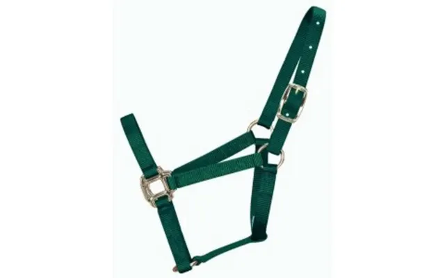 Halter Horse Qlty 3-5 Yearling 1 Dark Green 1 Each By Hamilton