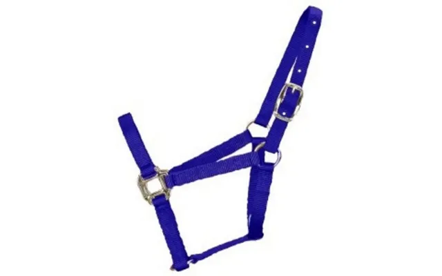 Halter Horse Qlty 5-8 Small 1 Blue 1 Each By Hamilton