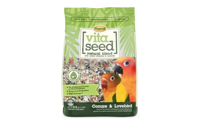 Higgins - Higgins Conure Lovebird