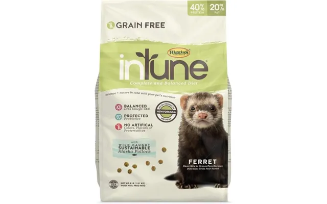 Higgins - Higgins Intune Ferret