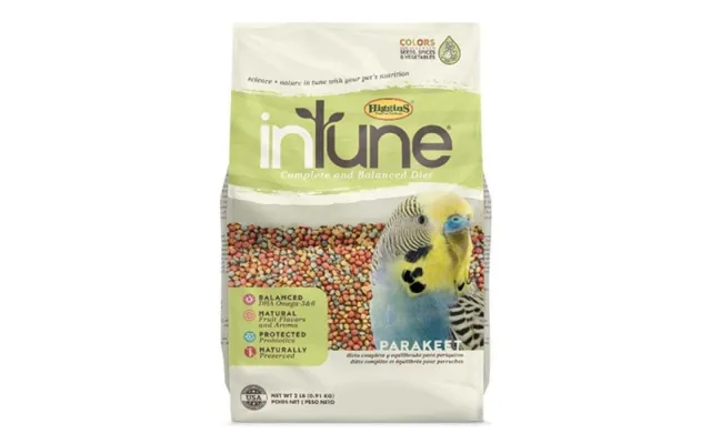 Higgins - Higgins Intune Parakeet