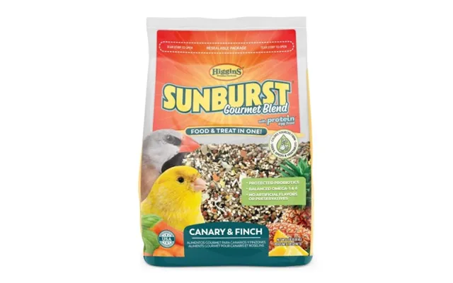 Higgins - Higgins Sunburst Canary Finch