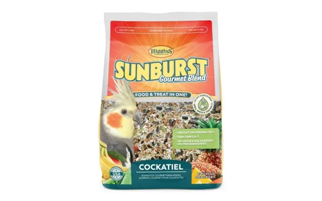 Higgins - Higgins Sunburst Cockatiel