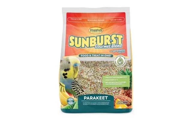 Higgins - Higgins Sunburst Parakeet