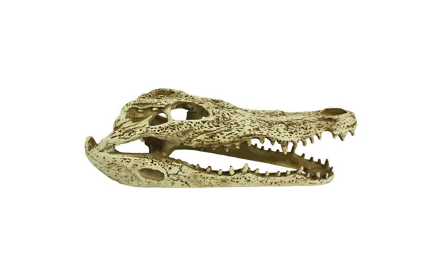 Komodo - Komodo Alligator Skull Hideout