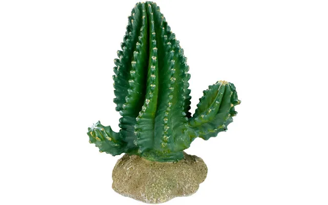 Komodo - Komodo Cactus Plant Columnar