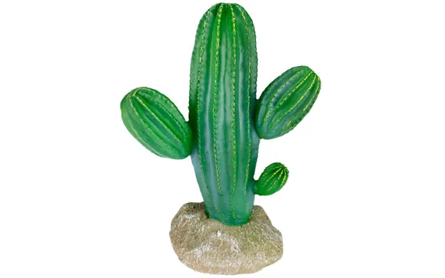 Komodo - Komodo Cactus Plant Saguaro