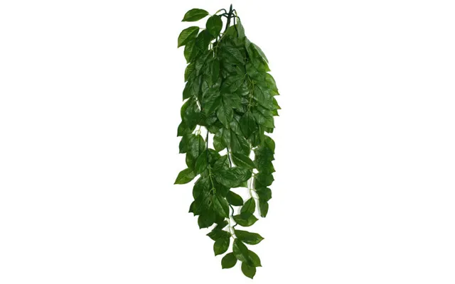 Komodo - Komodo Green Leaf Hanging Plant
