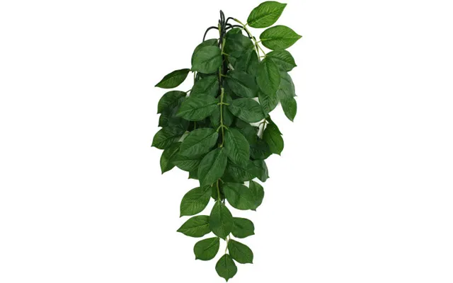Komodo - Komodo Green Leaf Hanging Plant