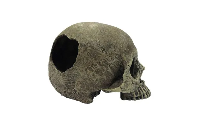 Komodo - Komodo Half Human Skull Reptile Hideout