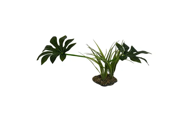 Komodo - Komodo Jungle Canopy Plant