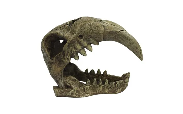 Komodo - Komodo Larger Saber Tooth Reptile Hideout