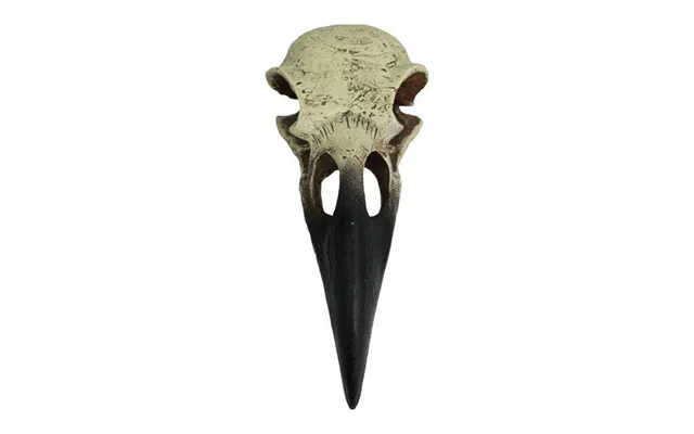 Komodo - Komodo Raven Skull Hideout