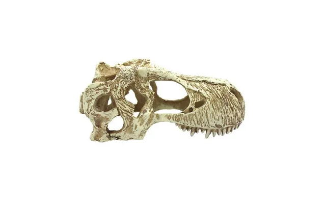 Komodo - Komodo T-rex Skull Reptile Hideout