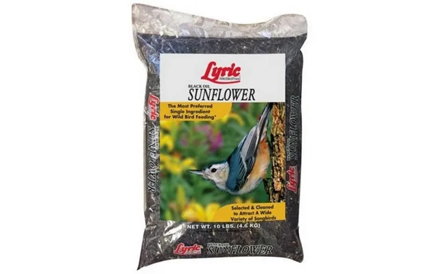 Lyric - Lyric Black Oil Sunflower