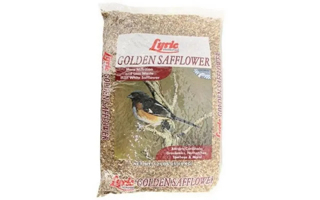 Lyric - Lyric Golden Safflower