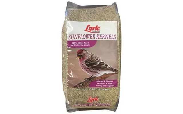 Lyric - Lyric Sunflower Kernels