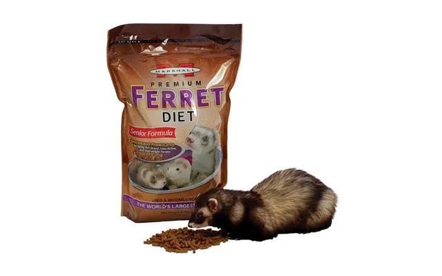 Marshall - Marshall Pet Products Premium Ferret Diet Senior Formula Dry Food