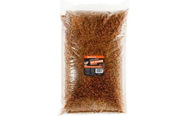 Mealworm To Go - Mealworm To Go Premium Dried Mealworms