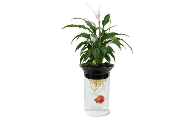 Nature's Aqua-ponic Planter & Fish Habitat 0.5 Gallon Tank 3 D X 8