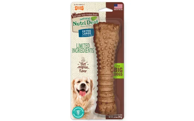 Nylabone - Nylabone Nutri Dent Filet Mignon Flavored Dog Dental Chews